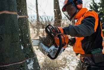 Stihl MS 661 C-M LIGHT 71 cm benzines motorfűrész 2.Kép