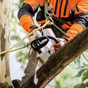 MSA 161 T TimbersportS Limited Edition akkumulátor fűrész (akku és töltő nélkül) 35cm 3.Kép